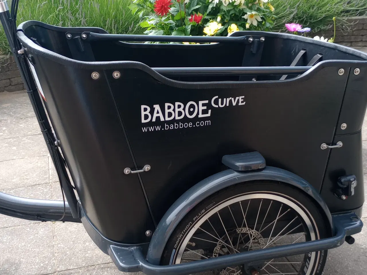 Billede 6 - Babboe ladcykel sælges