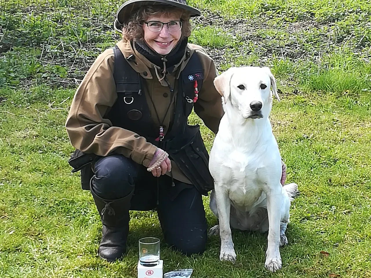 Billede 5 - Stueopdræt labrador både gule og sorte hanner 
