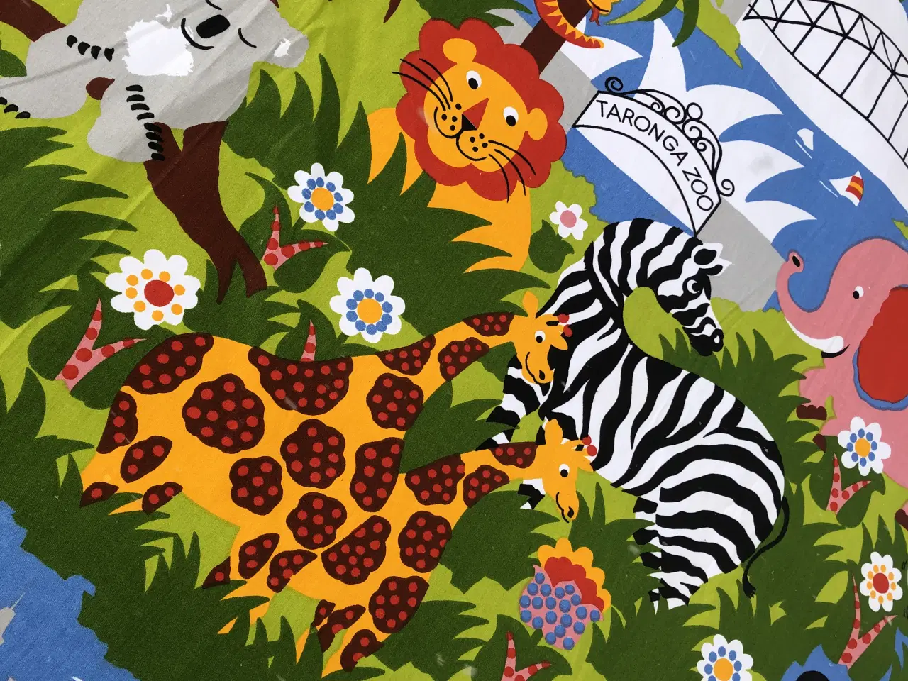 Billede 3 - TARONGA ZOO