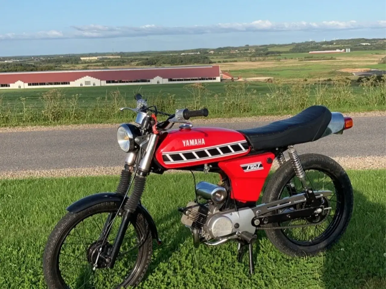 Billede 2 - Fornuftig Yamaha 4gear sælges