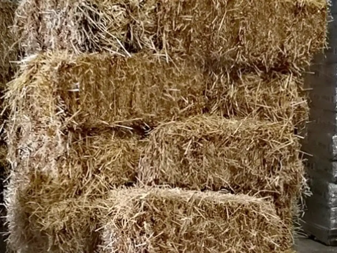 Billede 1 - halm småballer Morten Korch 