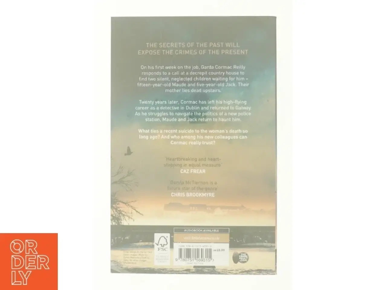 Billede 2 - The Ruin af Dervla McTiernan (Bog)
