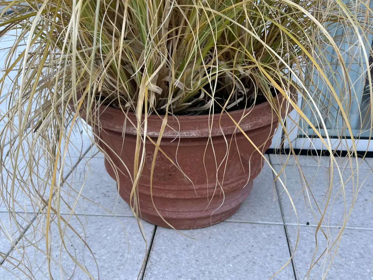 Billede 2 - 11 stk. terracotta krukker (+ 3 stk. gratis)