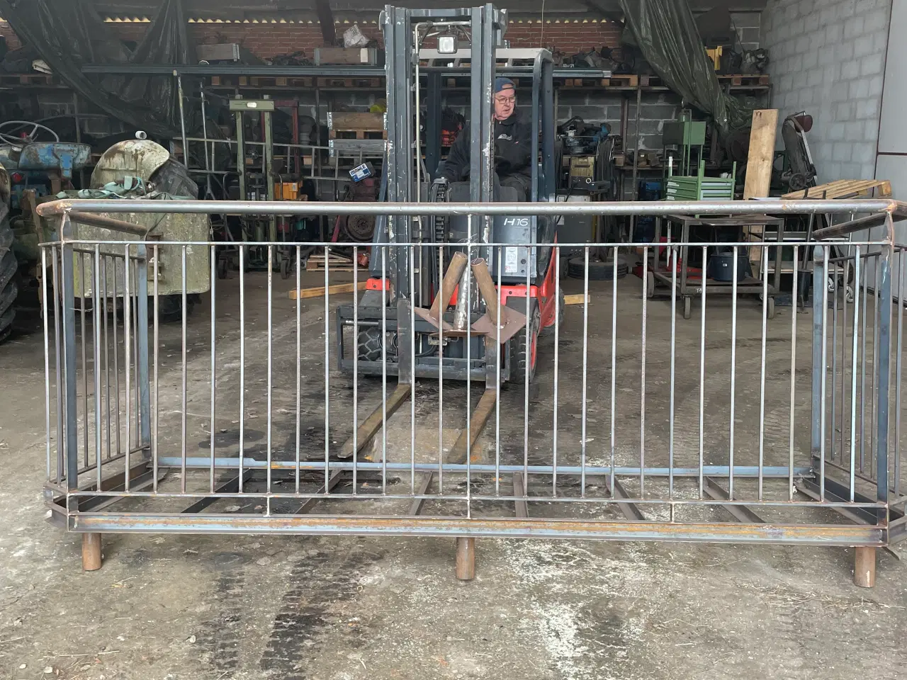 Billede 6 - Havehegn