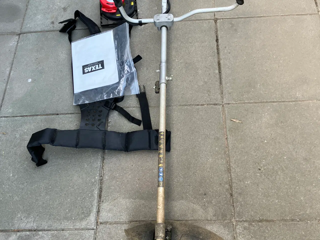 Billede 2 - Stor Texas Buskrydder