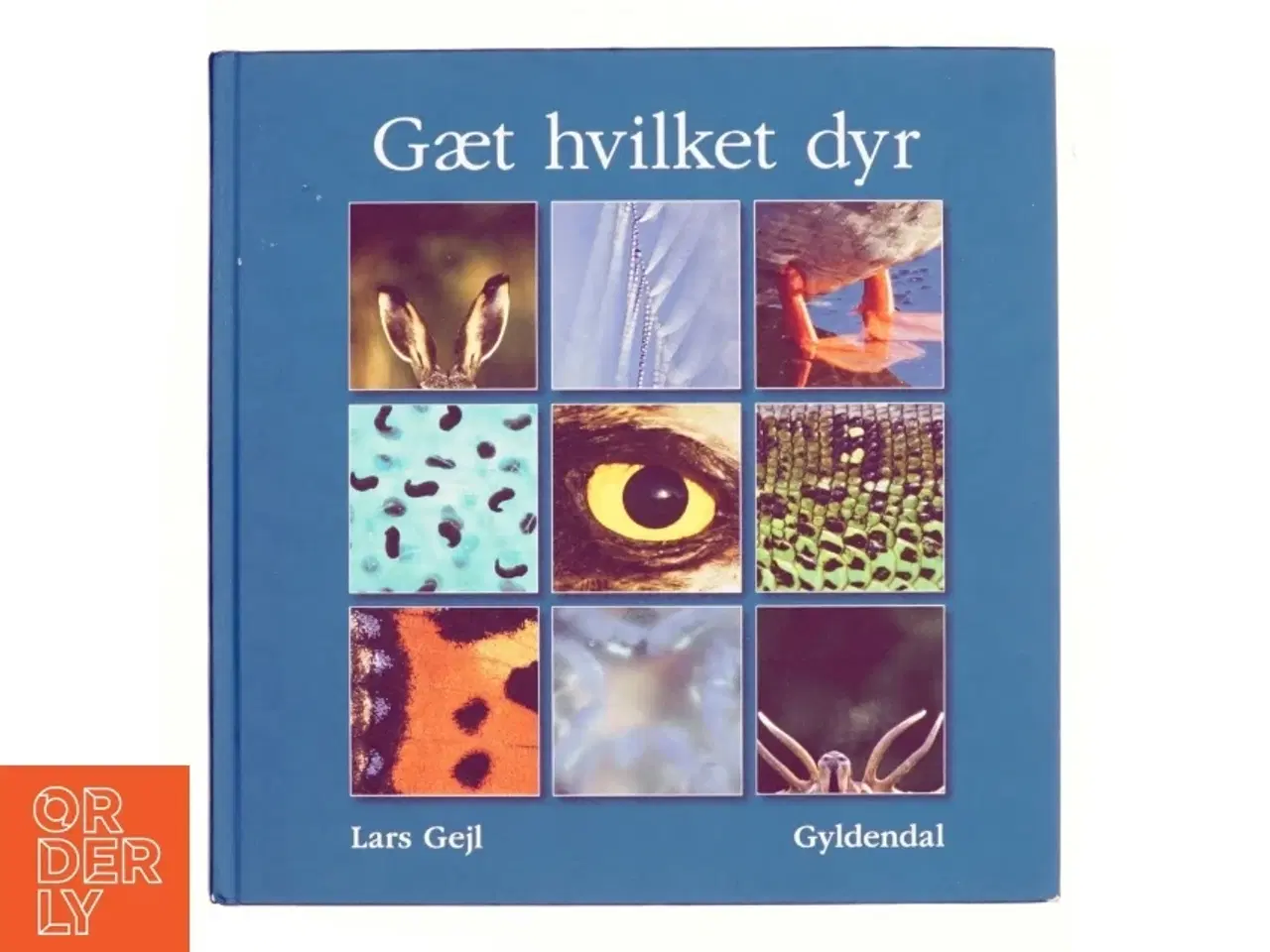 Billede 1 - Gæt hvilket dyr af Lars Gejl (Bog)