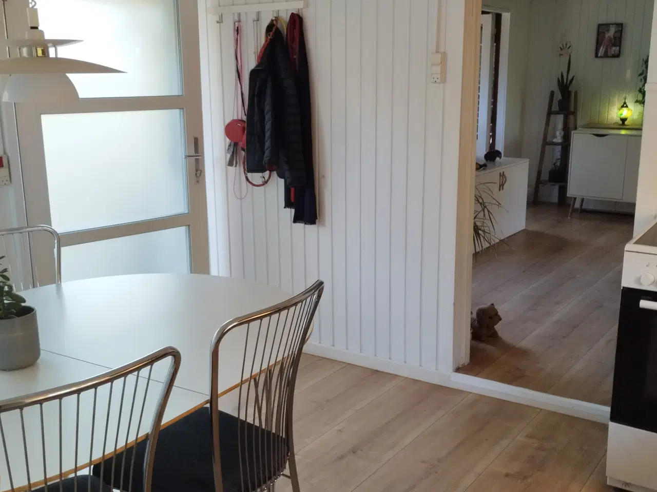 Billede 6 - Kolonihave Odense 