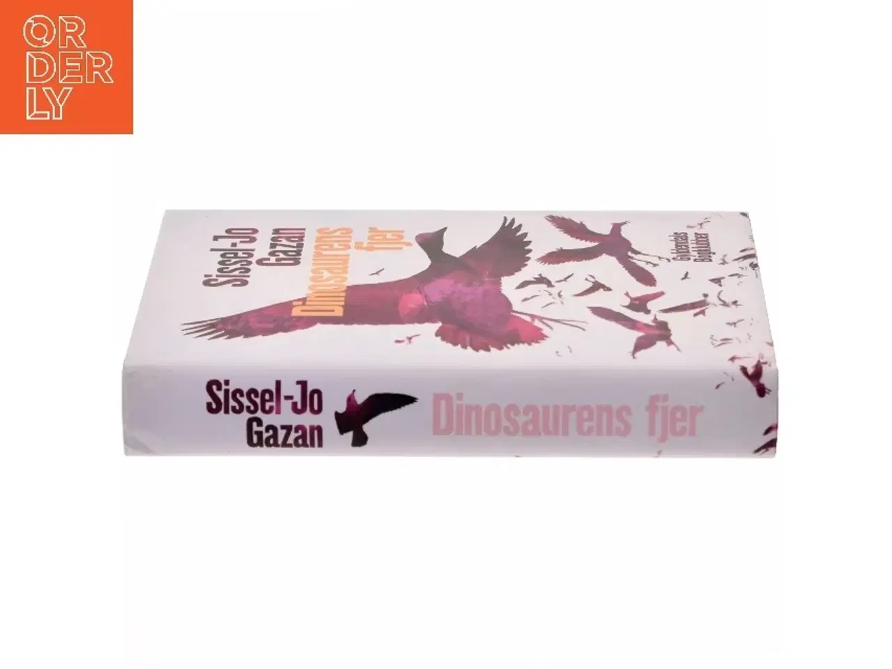 Billede 2 - Dinosaurens fjer