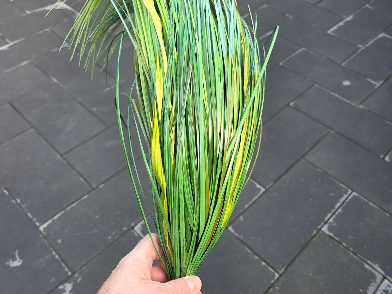 Billede 7 - Kunstige blomster 