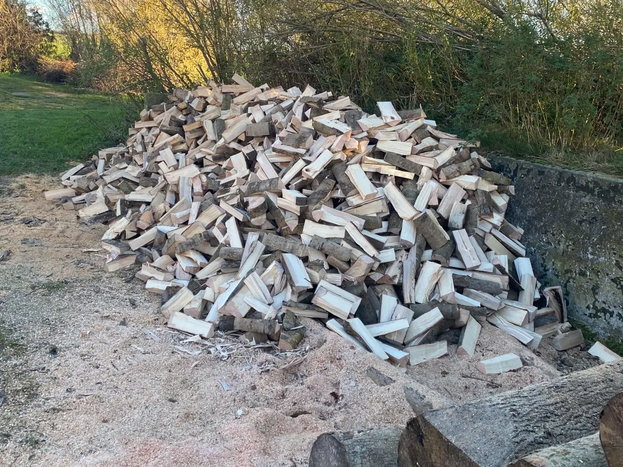 Billede 1 - Brænde aske træ 