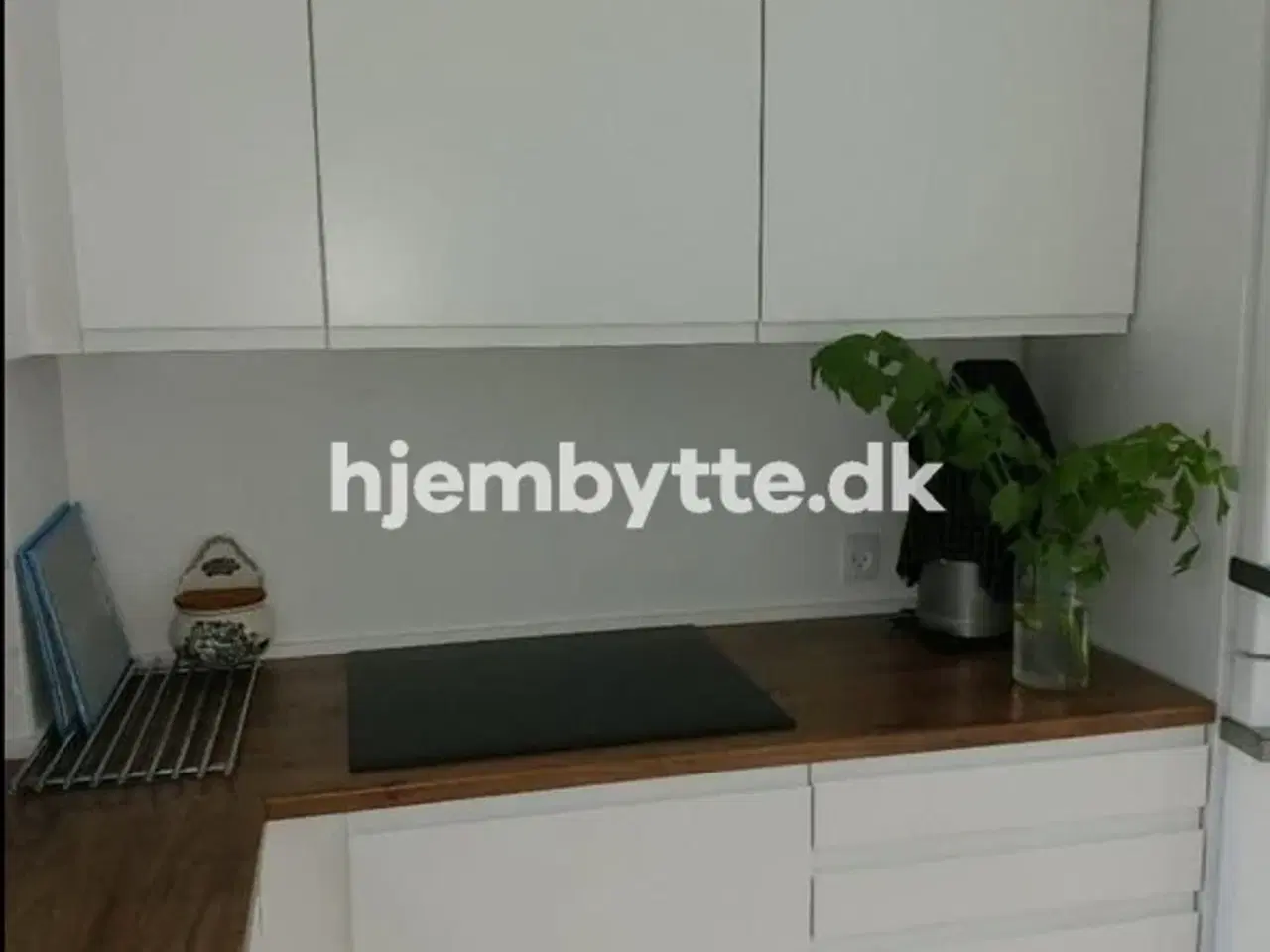 Billede 4 - Hjembytte - Muskathaven