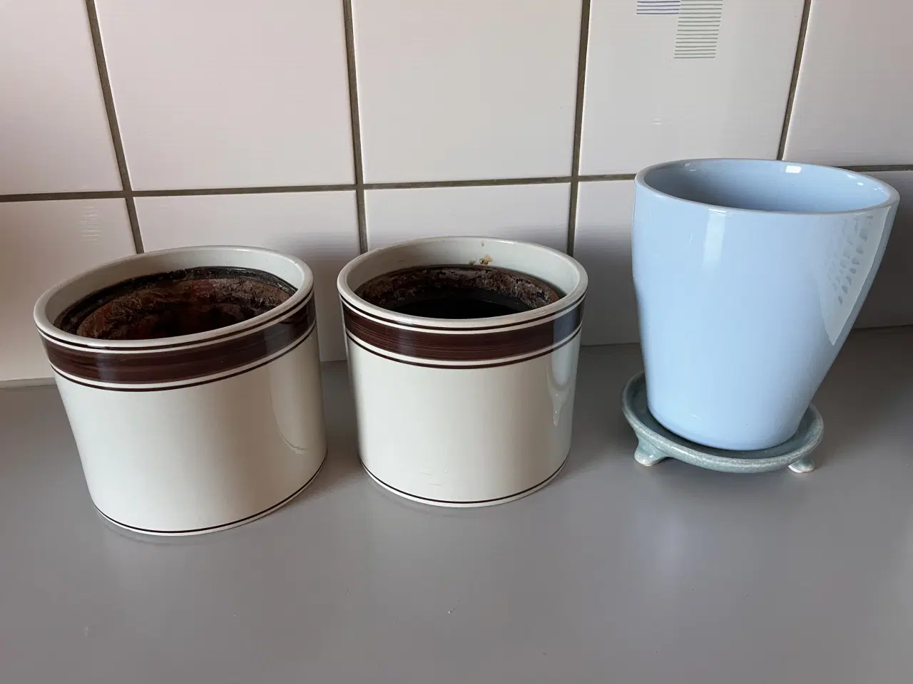 Billede 1 - Urtepotteskjulere 10-13 cm indv. 