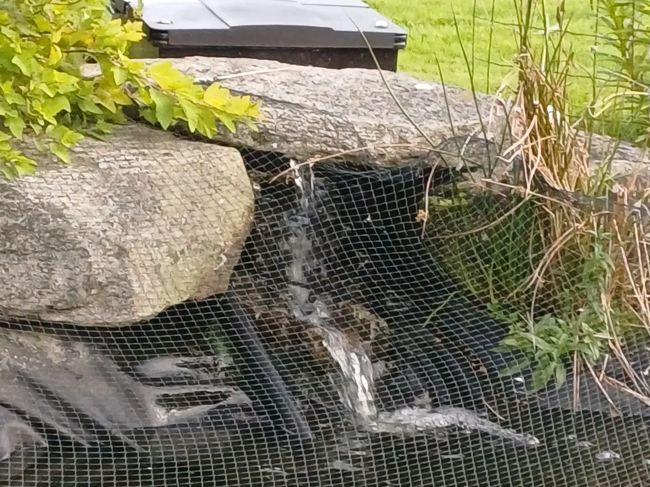 Billede 1 - Oase Bio smart 36000 L. bassin filter sæt