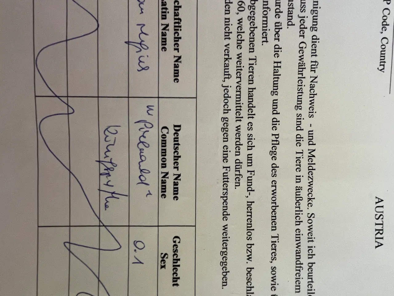 Billede 6 - 0.1 pied fra 2023 inkl. terrarie