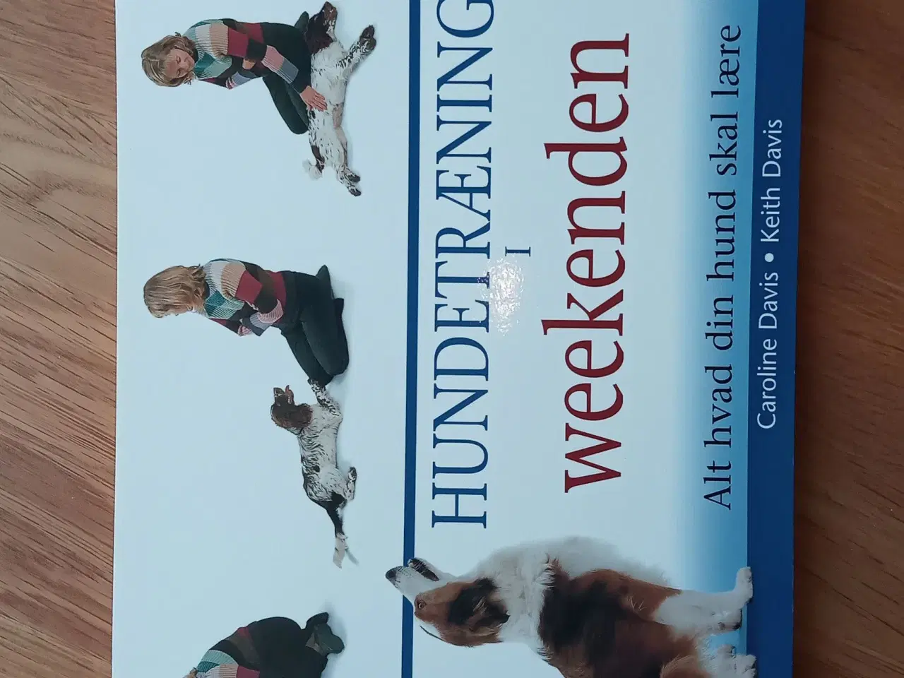 Billede 1 - Hundetræning i weekenden