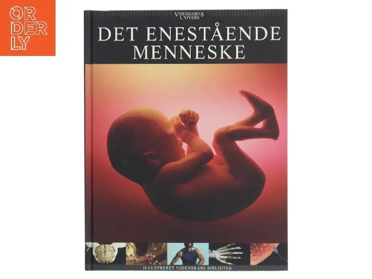 Billede 1 - Det enestående menneske af Anders Enevold (f. 1976) (Bog)