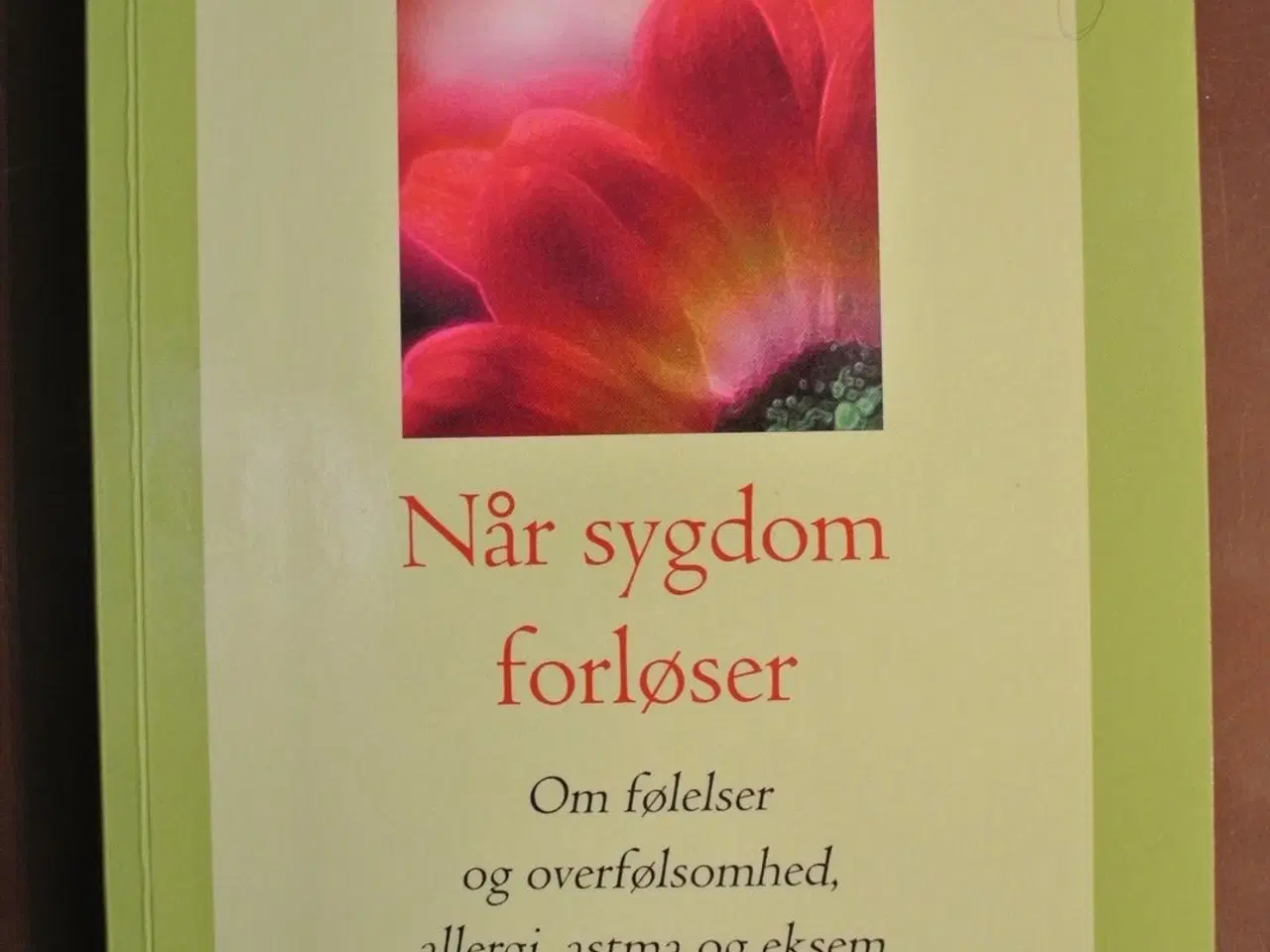 Billede 1 - når sygdom forløser, af ulla rung weeke
