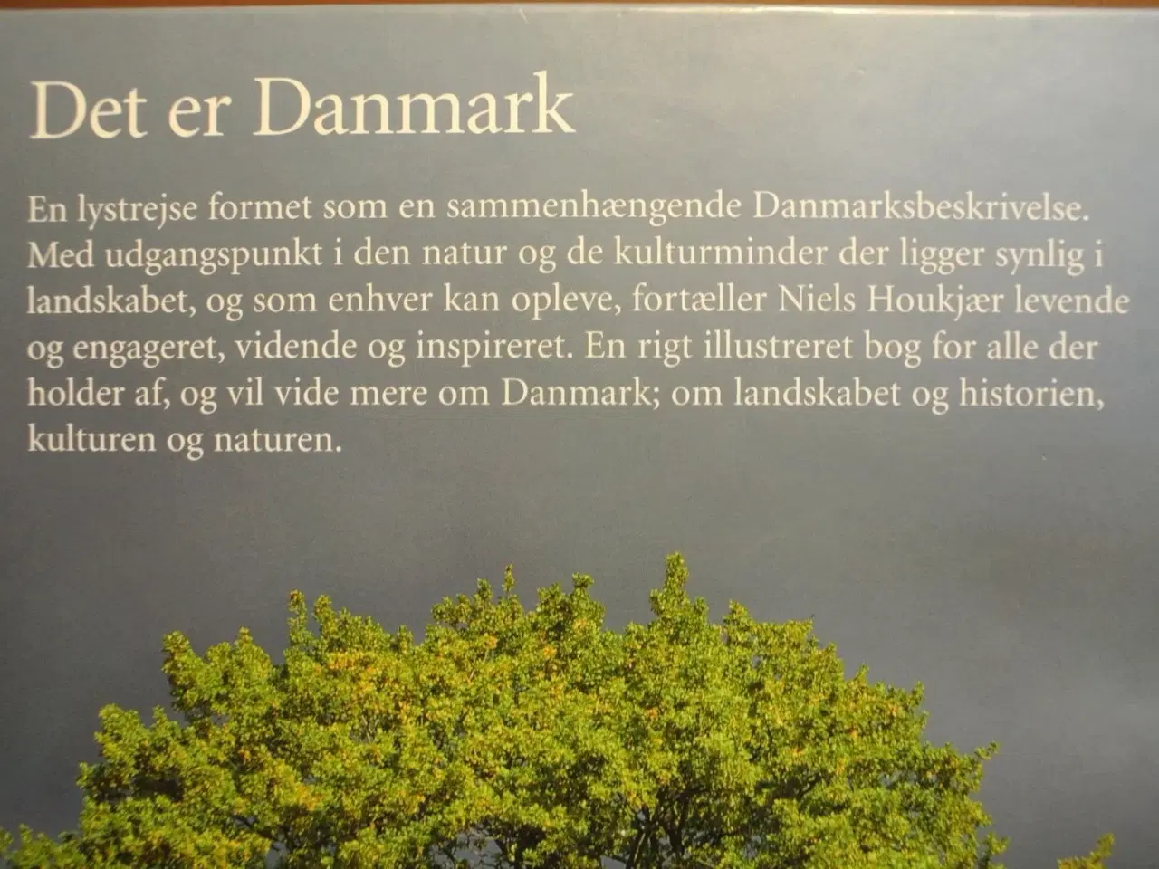 Billede 3 - det er danmark - en lystrejse gennem det danske la