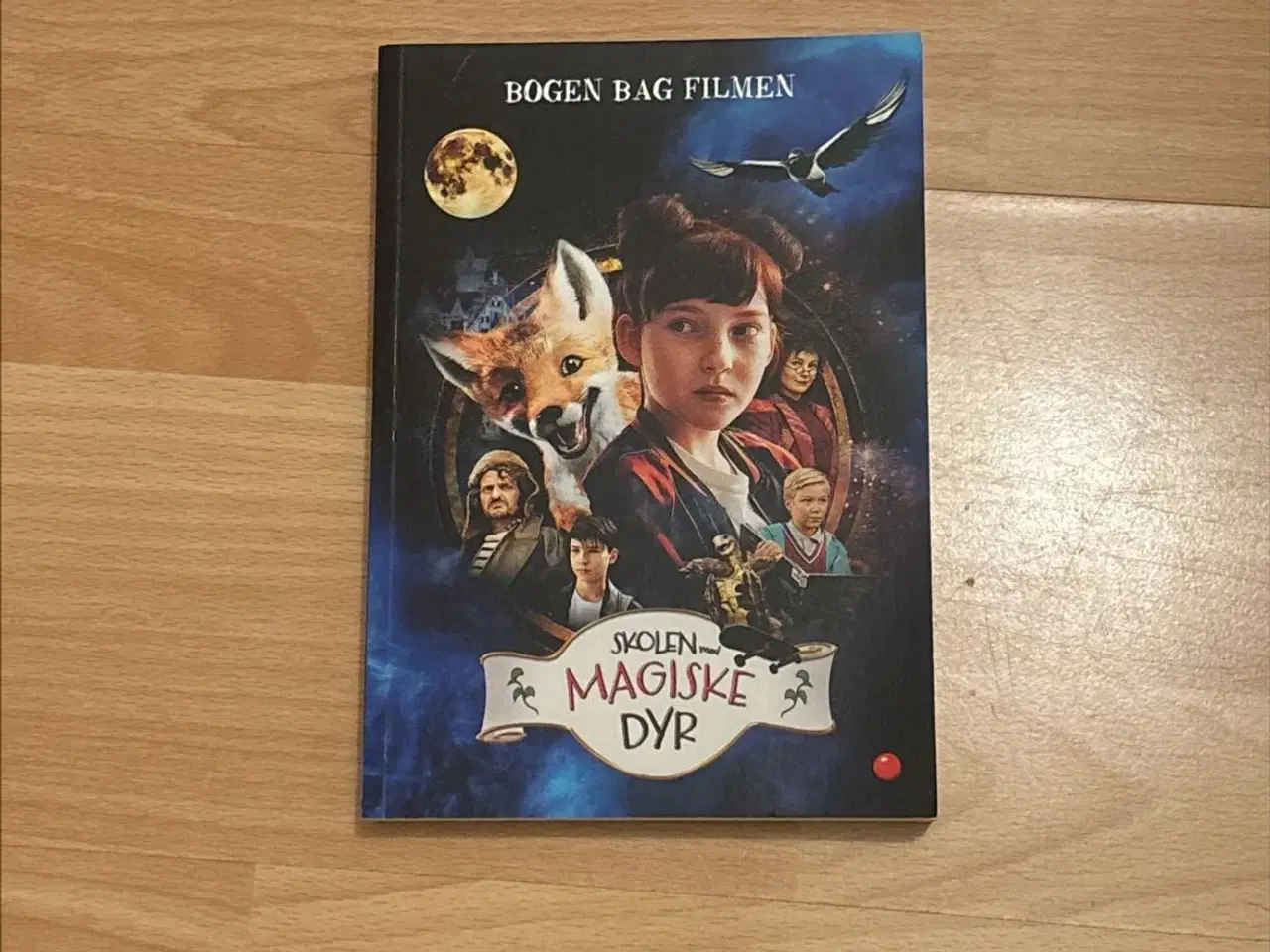 Billede 1 - Skolen med magiske dyr