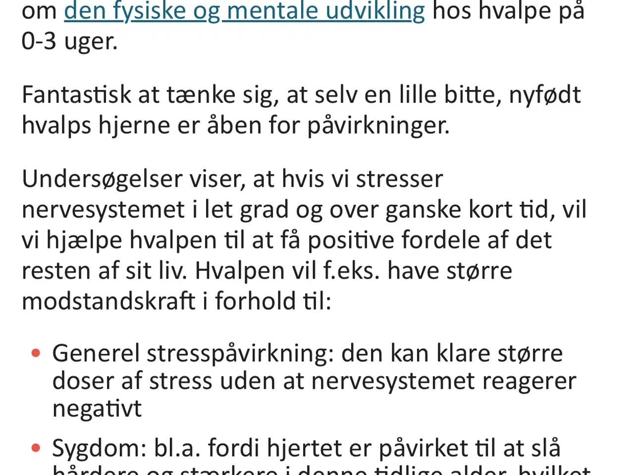 Billede 7 - Søger du en rigtig bamse 