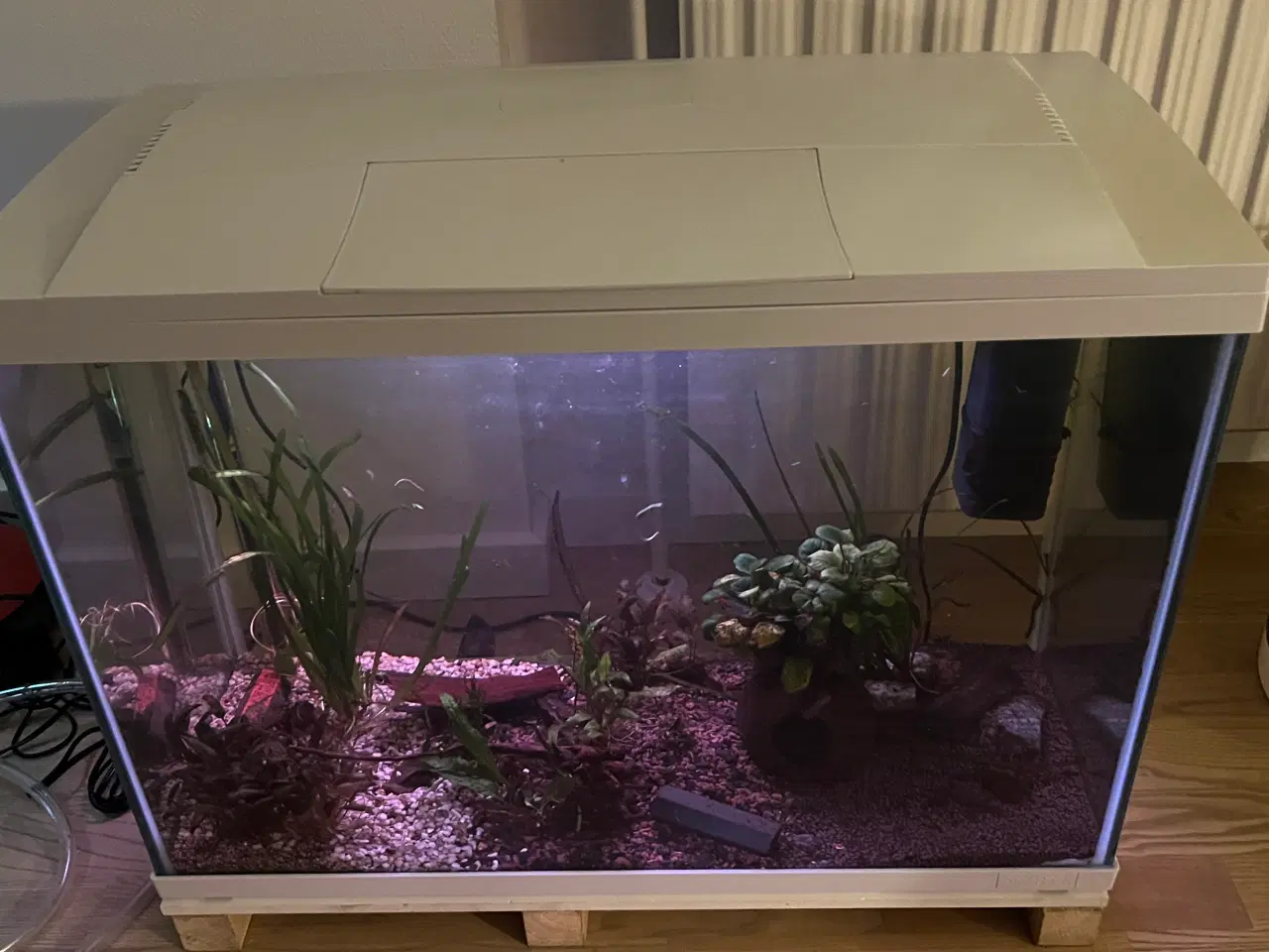 Billede 2 - 100 l komplet akvarium sælges