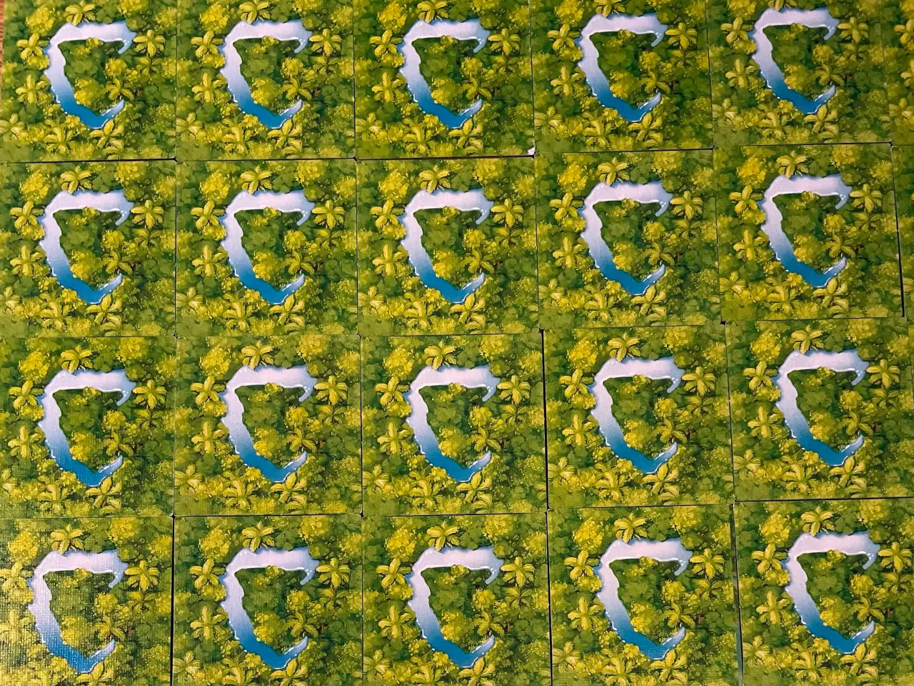 Billede 19 - Carcassonne Amazonas brætspil