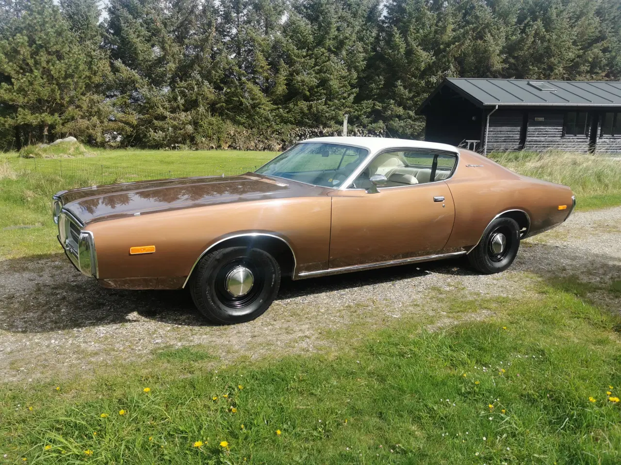 Billede 4 - 1972 Dodge Charger