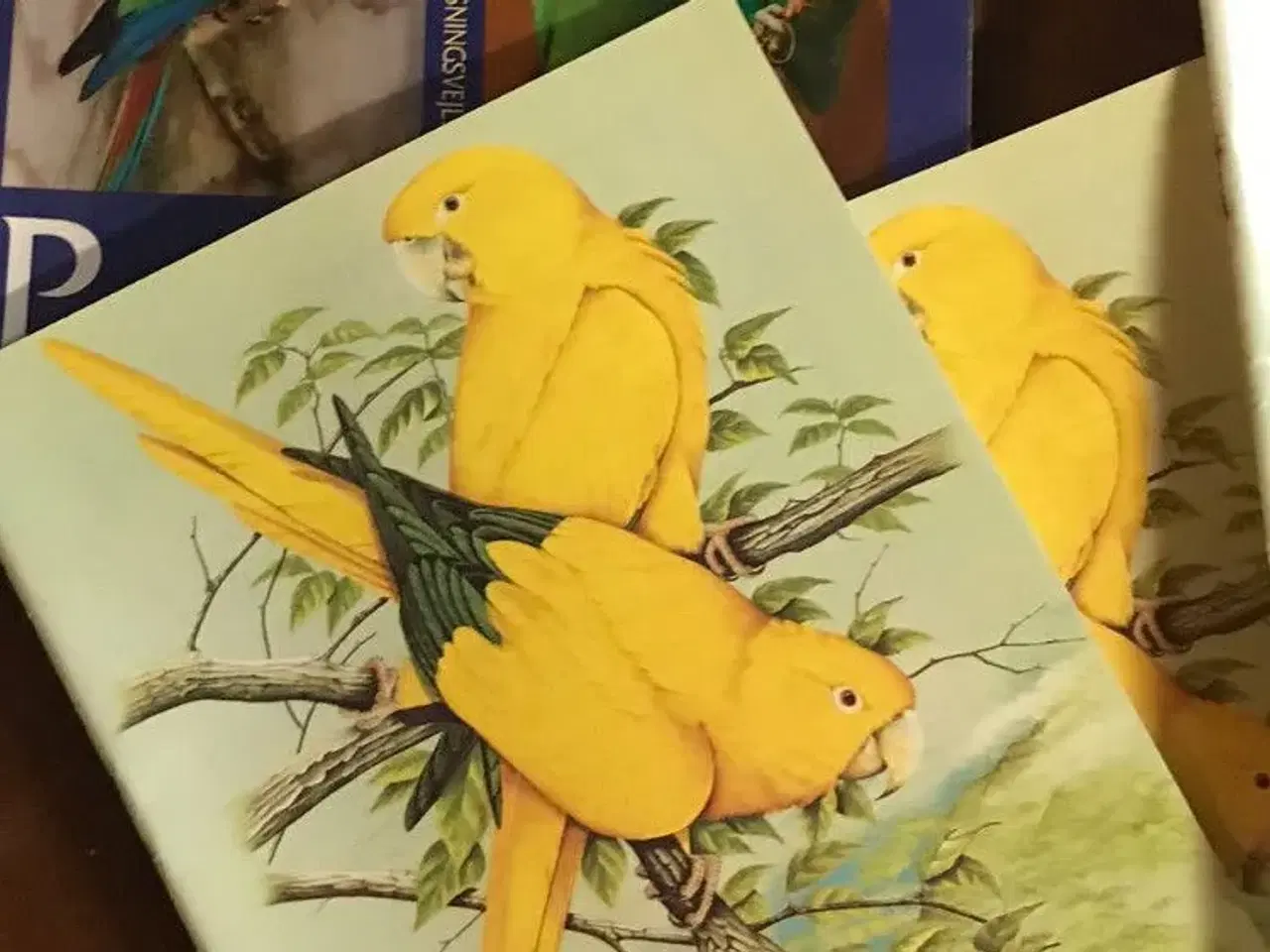 Billede 2 - papegøje tidsskrifter osv 