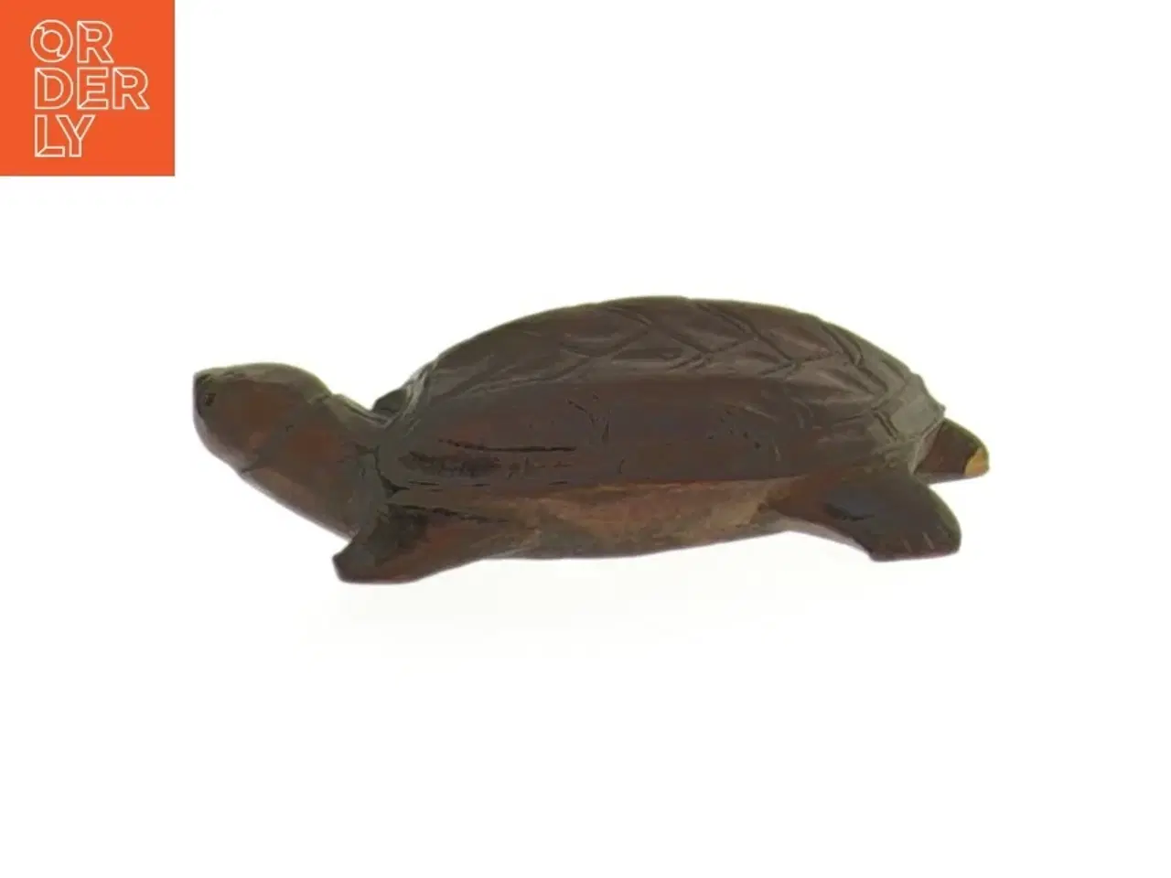 Billede 4 - sten skildpadder (str. 5-7 cm)