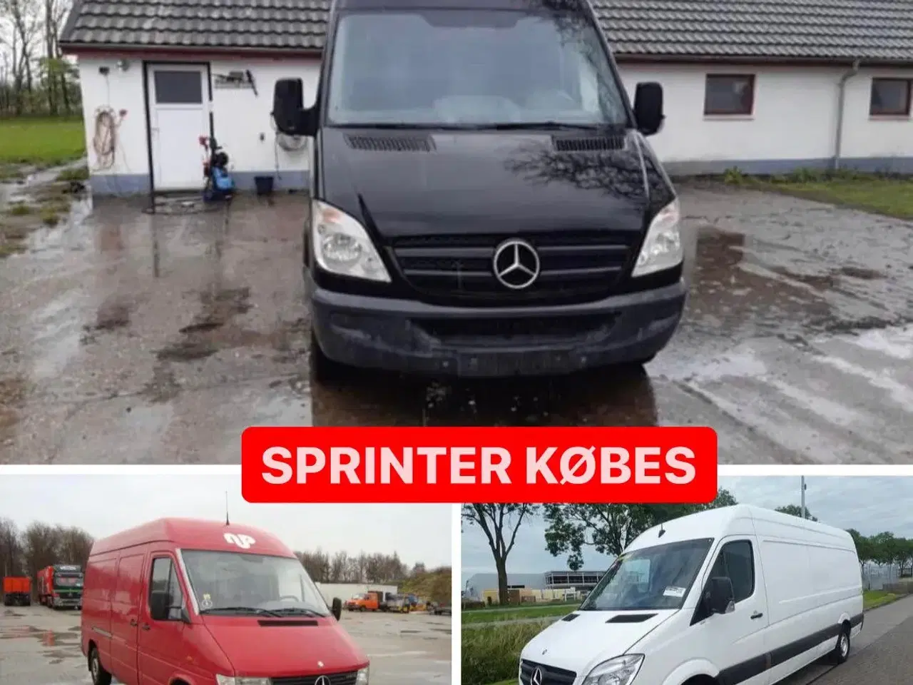 Billede 1 - Sprinter KØBES ! 