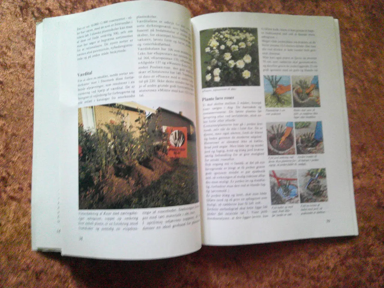 Billede 2 - Havebogen, Bent Klougart,