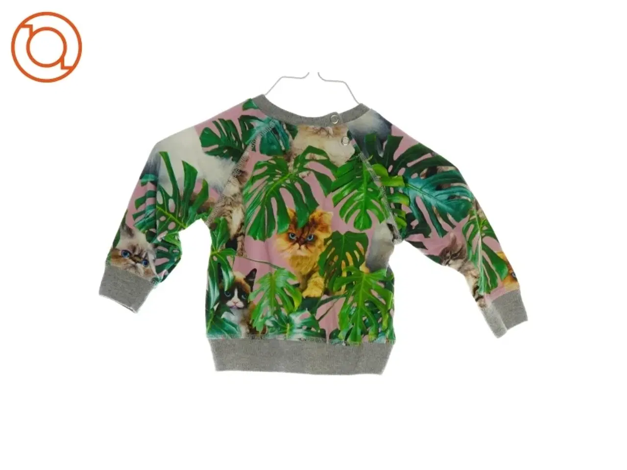 Billede 2 - Trøje fra Molo