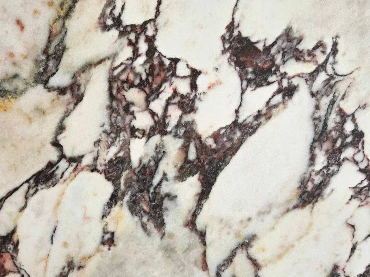 Billede 6 - Calacatta viola