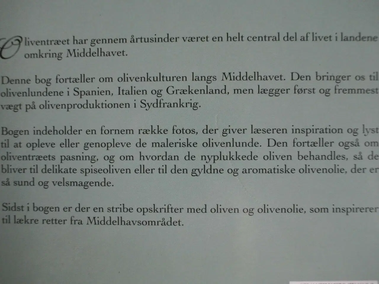 Billede 3 - oliven - træet, frugten og olien, af martine calai