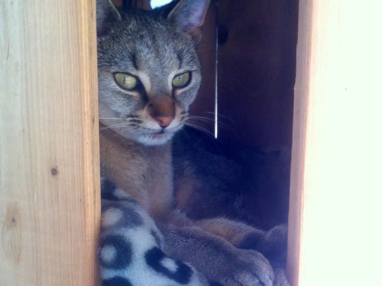 Billede 4 - Kabeltromle sofabord