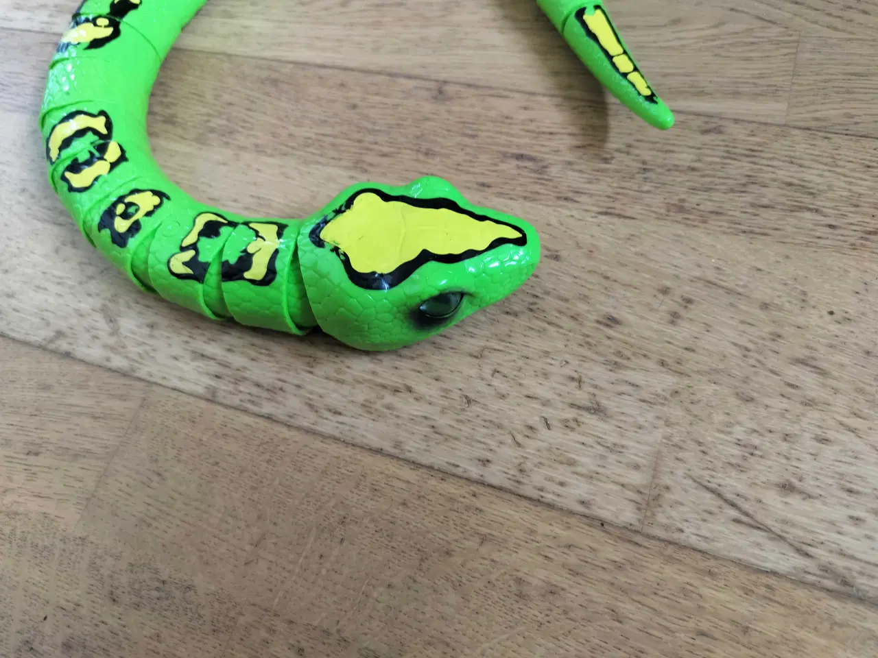 Billede 1 - Robo alive slange 