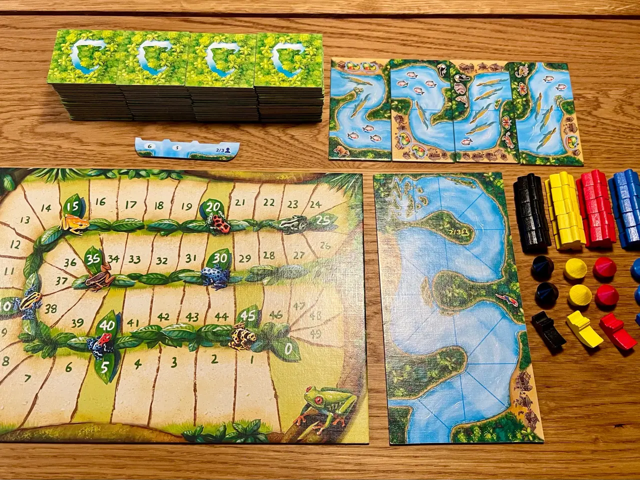 Billede 17 - Carcassonne Amazonas brætspil