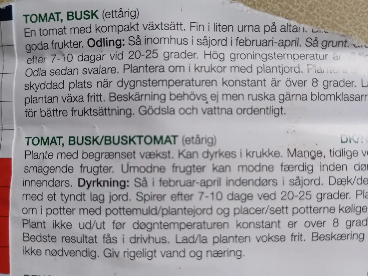 Billede 17 - Tomatplanter mange forskellige