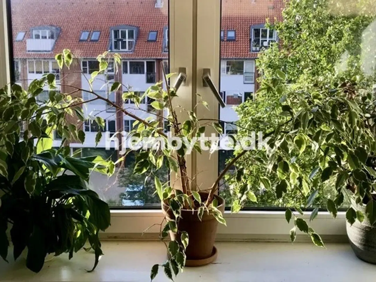 Billede 12 - Hjembytte - DronninggårdsAlle
