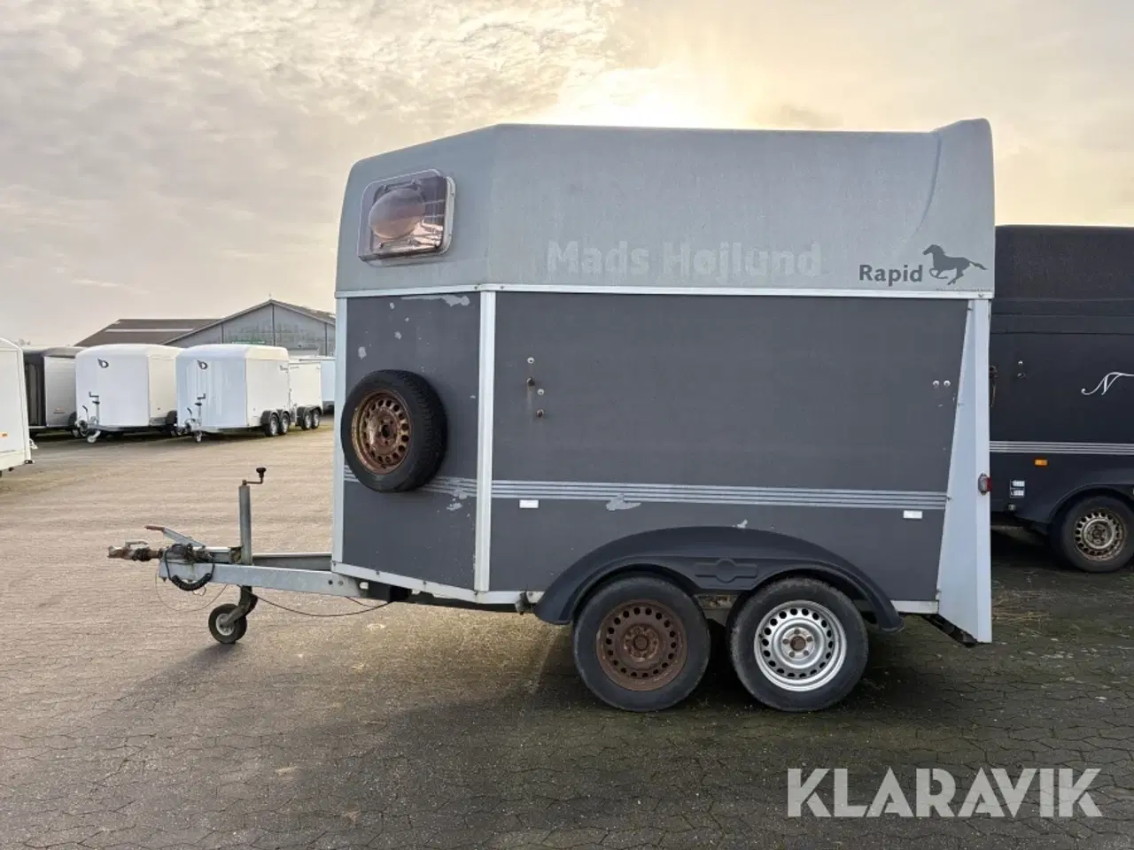 Billede 2 - Hestetrailer Humbaur Rapid