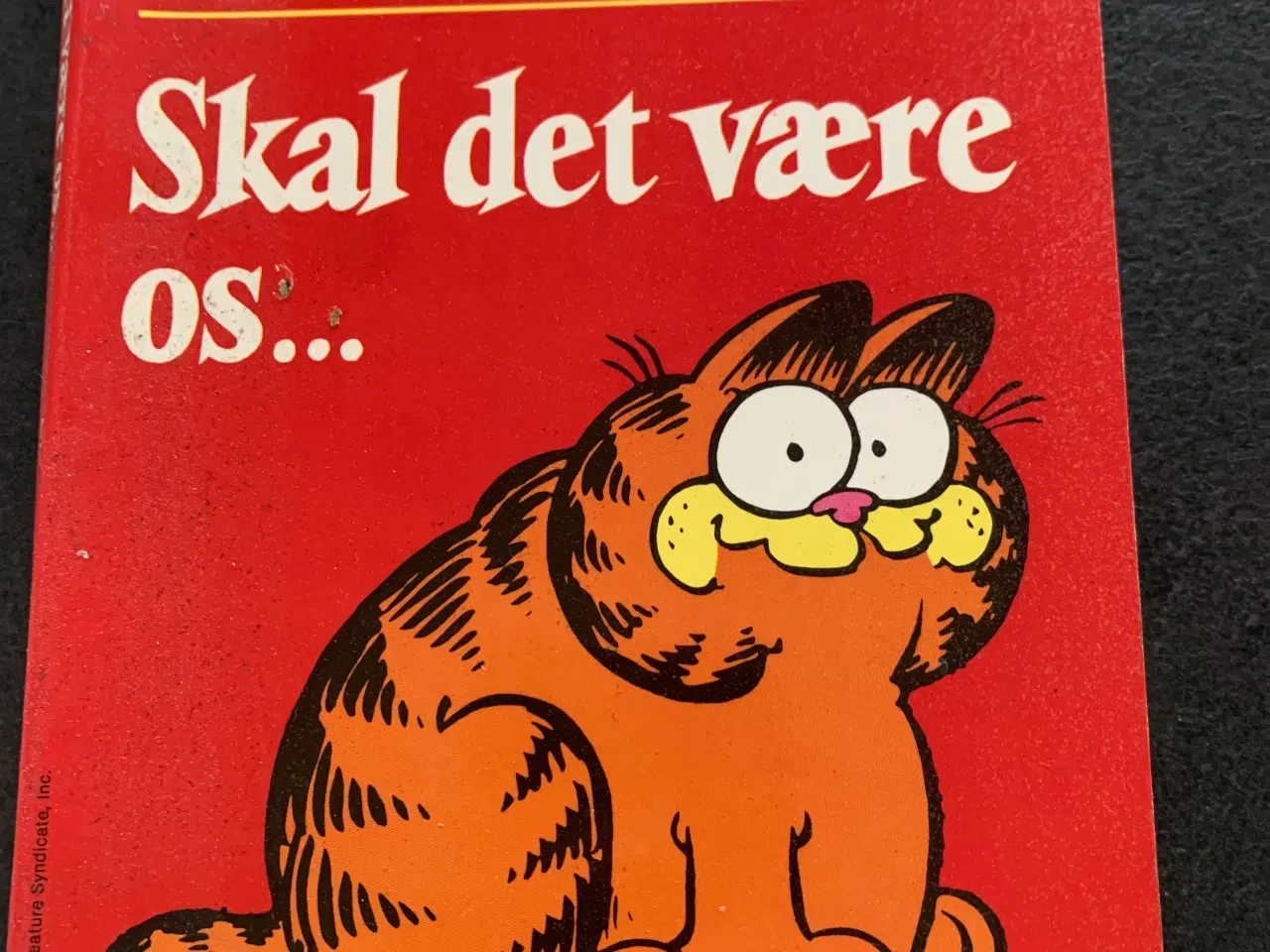 Billede 1 - Garfield