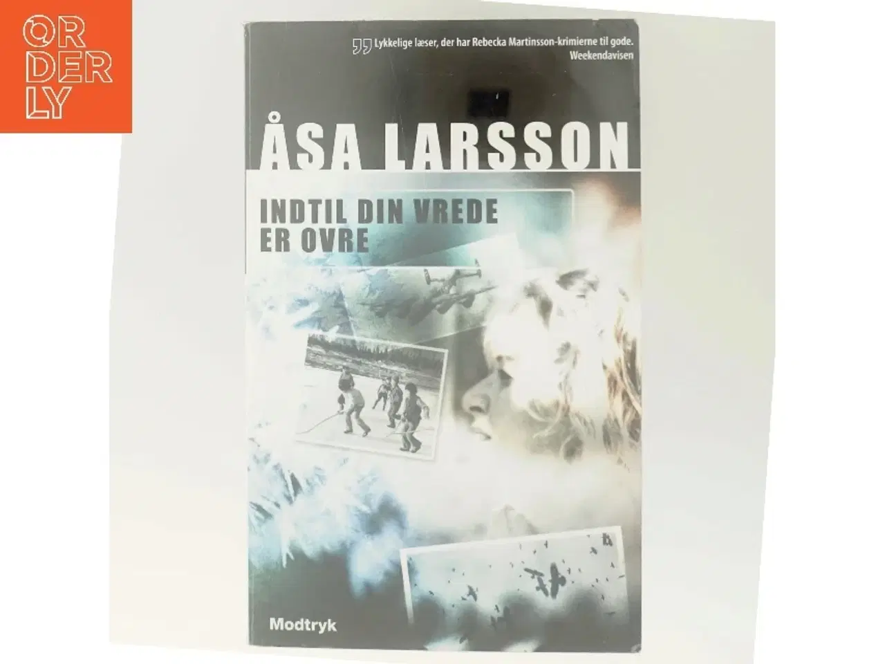 Billede 6 - Indtil din vrede er ovre af Åsa Larsson (Bog)