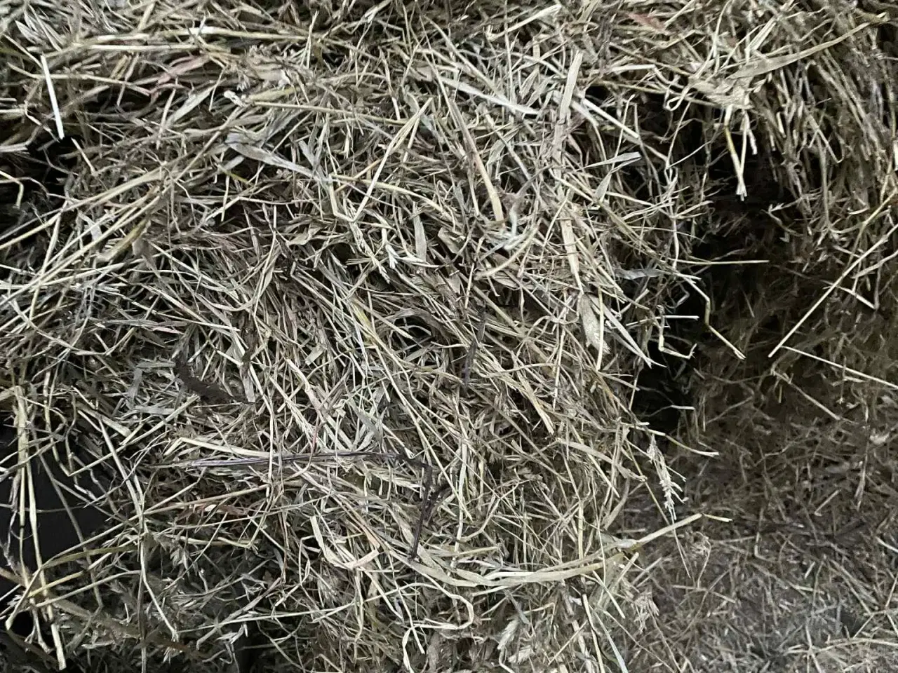 Billede 1 - 🌾💚 LÆKKERT WRAP-HØ TIL SALG – FRISKT, RENT OG KL