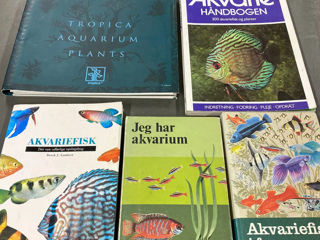 Billede 1 - Bøger om planter og akvariefisk 