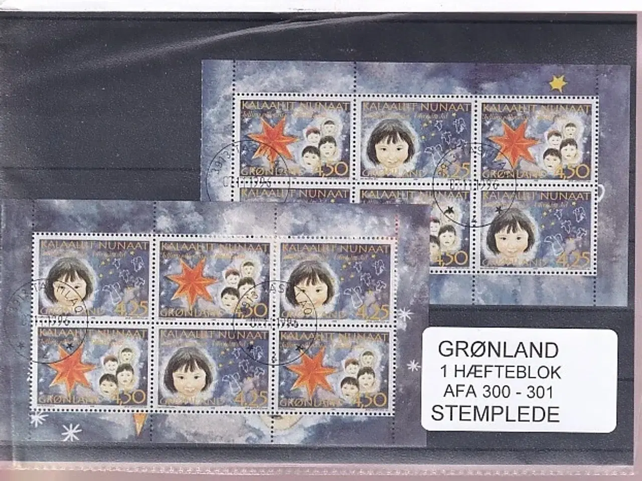 Billede 1 - Grønland - Hæfteblokke AFA 300 - 301 - Stemplet