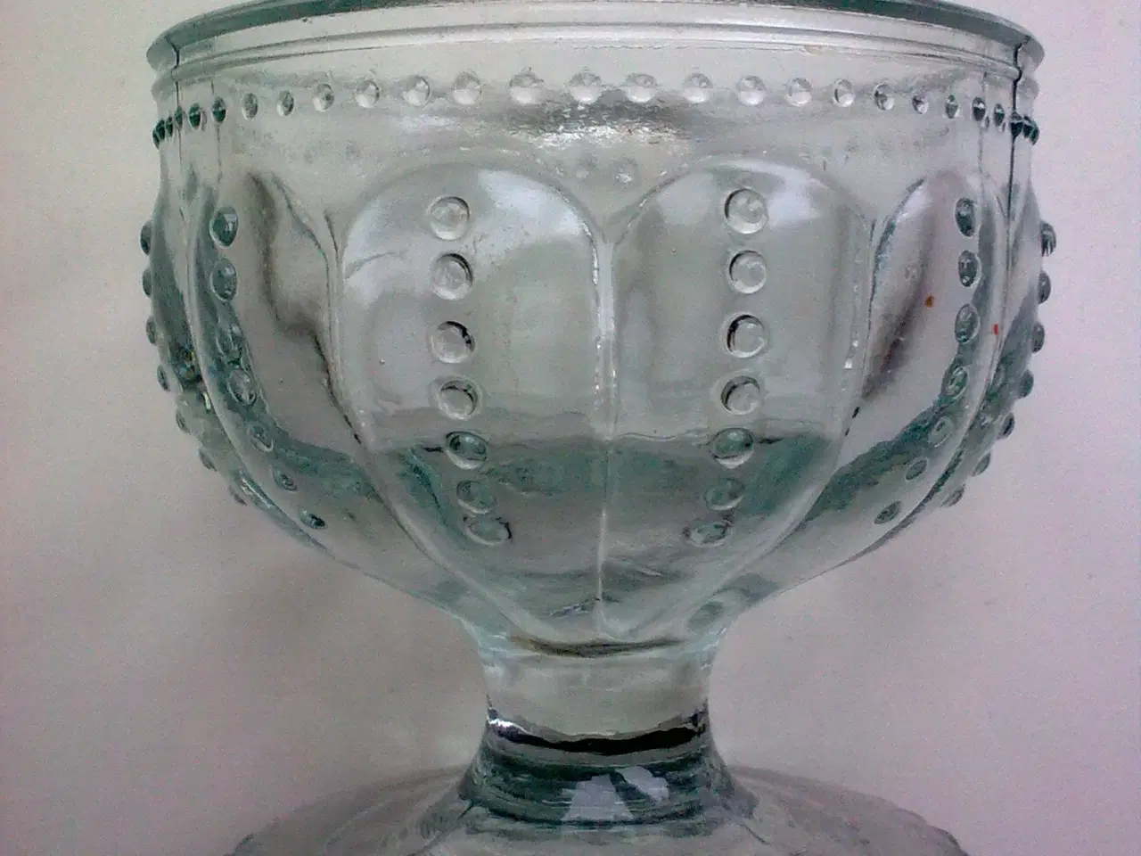 Billede 4 - Ragdoll misinformation m Birdie Nam Nam