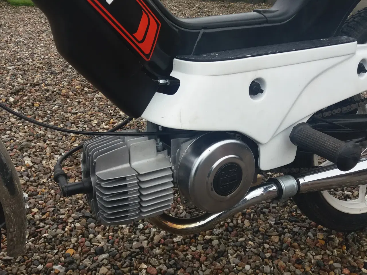 Billede 6 - Puch Maxi