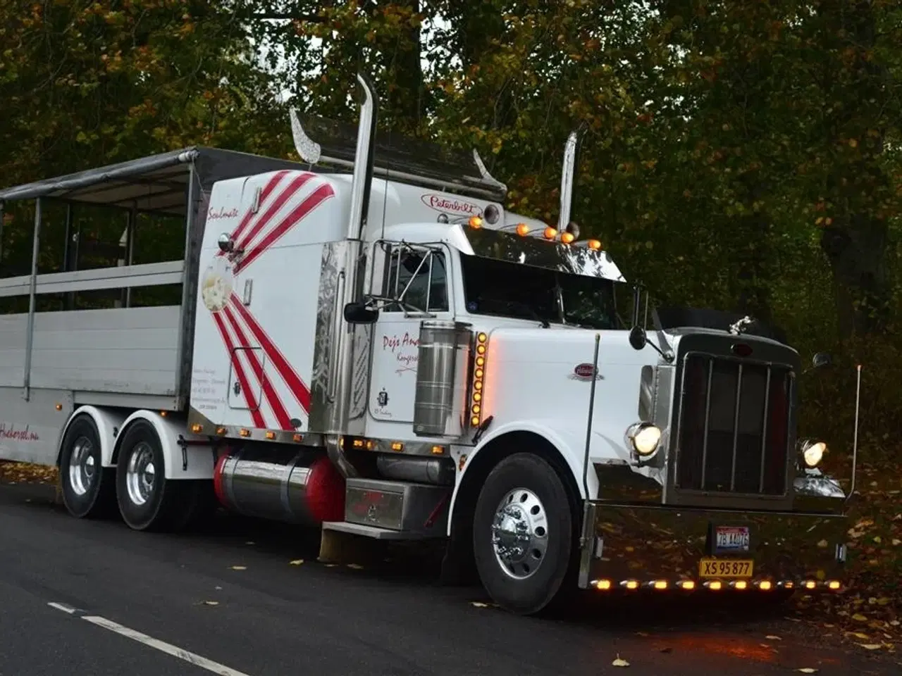 Billede 2 - - - - peterbilt 379