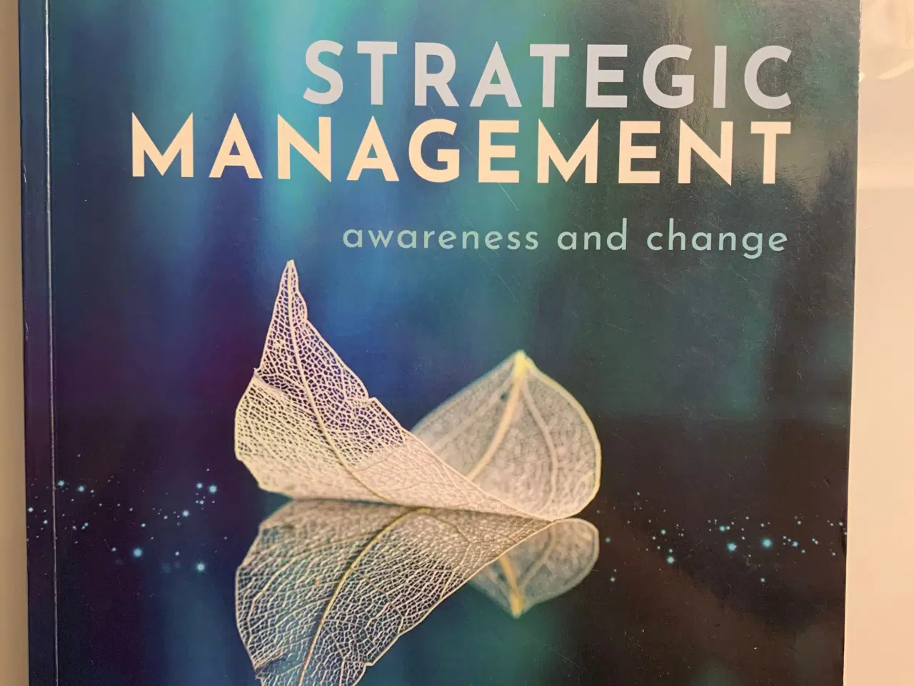 Billede 1 - Strategic Management, awareness and change