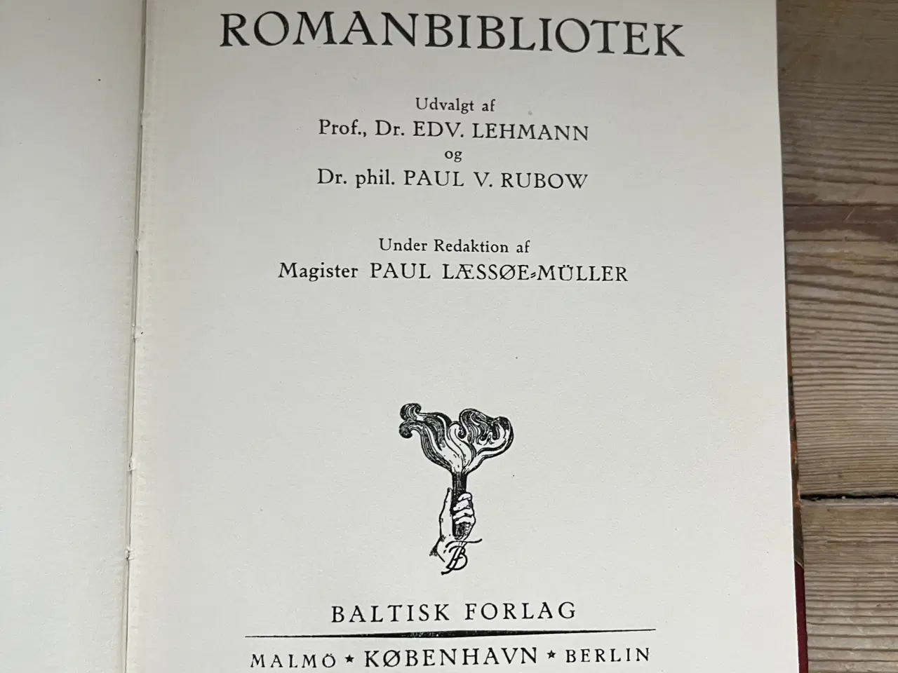 Billede 3 - En skuespillers eventyr